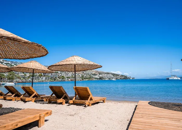 Panzió Mare Alba 3*