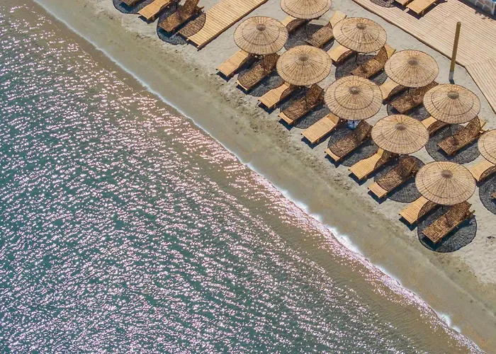 Mare Alba Gündoğan