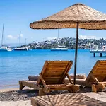 Mare Alba Gündoğan