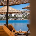 Mare Alba Gündoğan