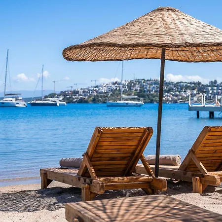 Mare Alba Gundogan (Bodrum)